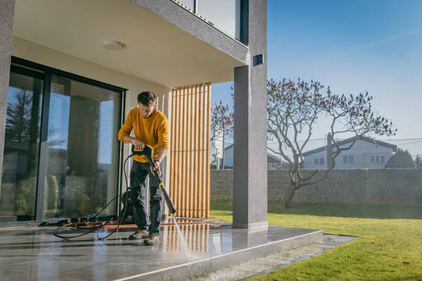 Best Roof Washing  in Honea Path, SC